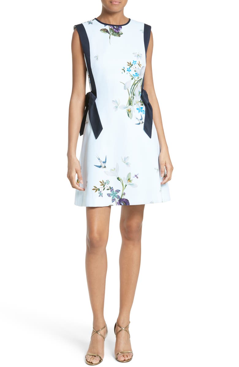 Ted Baker London Sipnela A-Line Dress, Main, color, 