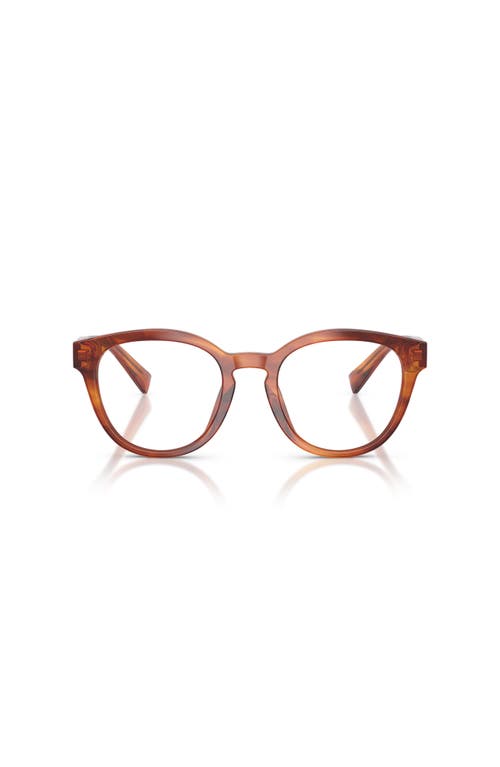 Dolce & Gabbana Dolce&gabbana 50mm Phantos Optical Glasses In Brown