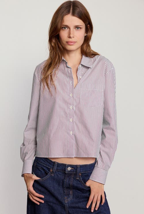 The Shirt By Rochelle Behrens The Long Sleeve Boxy Crop Shirt In Multi