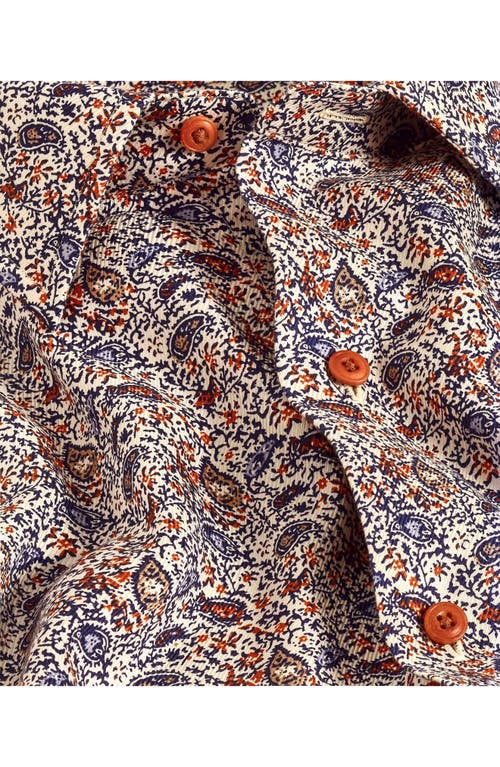 David Donahue Regular Fit Paisley Print Cotton Dobby Dress Shirt In Multi