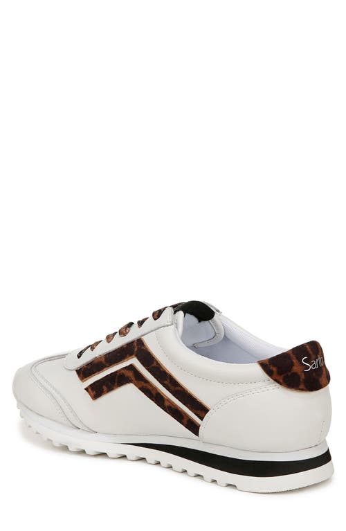 Franco Sarto Matera Oxford Sneakers In Brown Multi