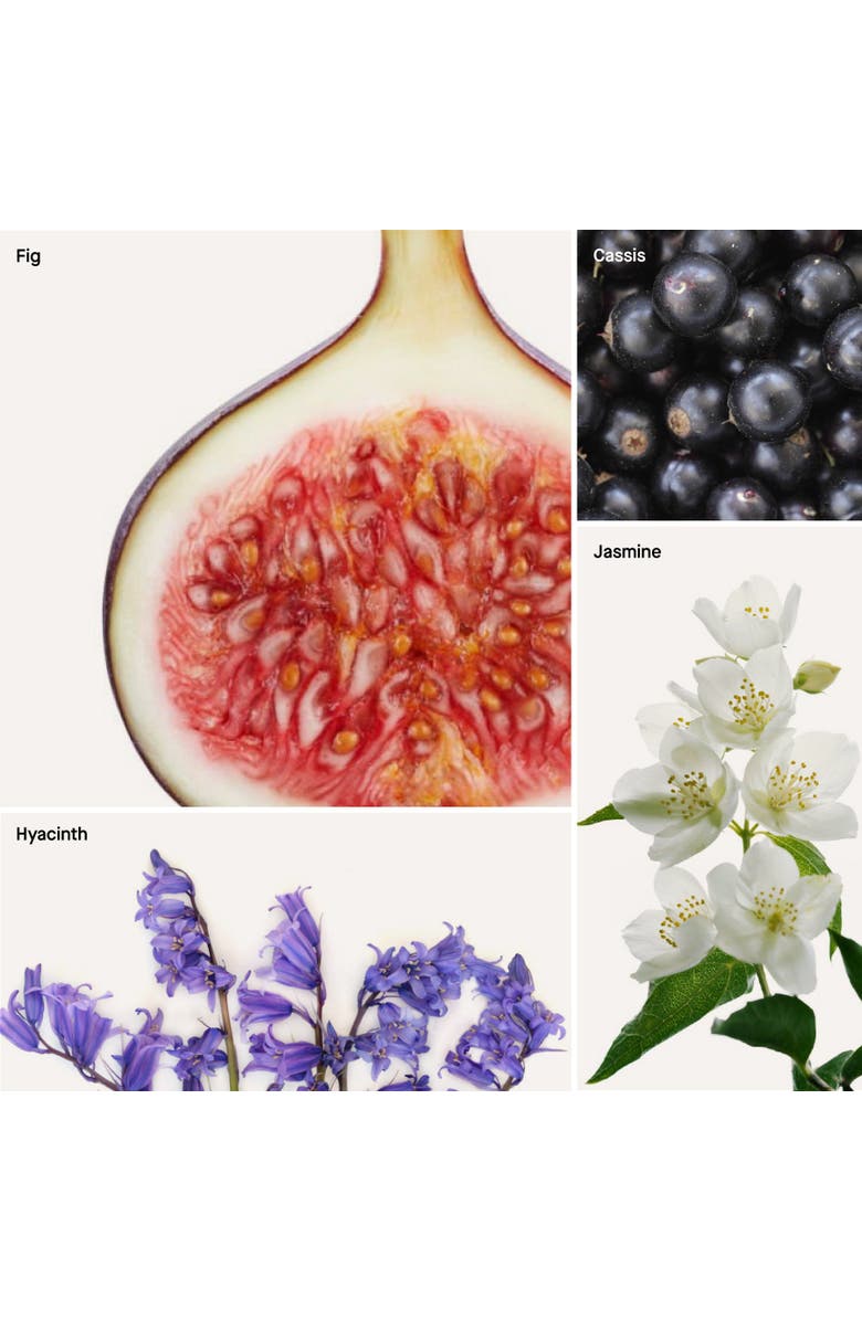 Dusa Fragrances Fig - 16 Fl Oz Room Spray Liquid Refill, Alternate, color, Fig