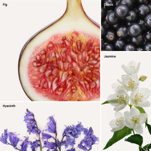 Dusa Fragrances Fig In Multi
