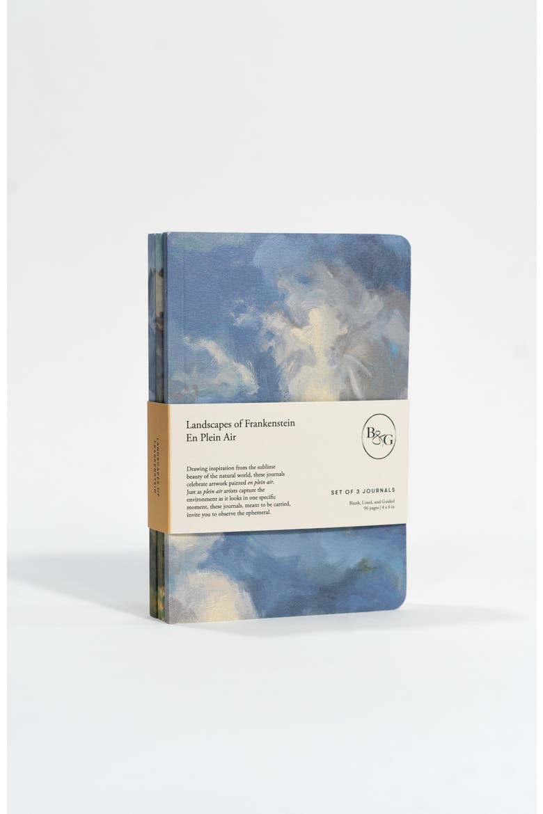 Set of Three Pocket Journals - Landscapes of Frankenstein En Plein Air, Alternate, color, Blue