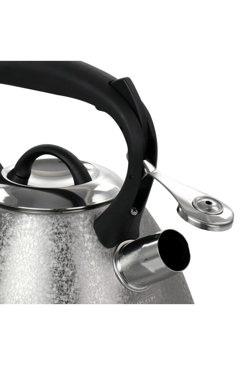 2.5 Quart Stainless Steel Whistling Tea Kettle, Alternate, color, Silver