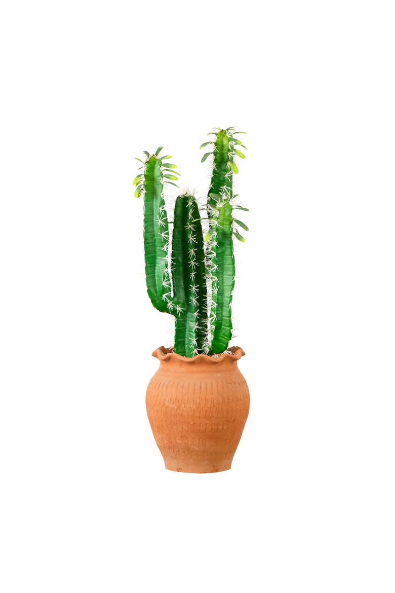 28-in Artificial Cactus in Terracotta Planter, Main, color, Green