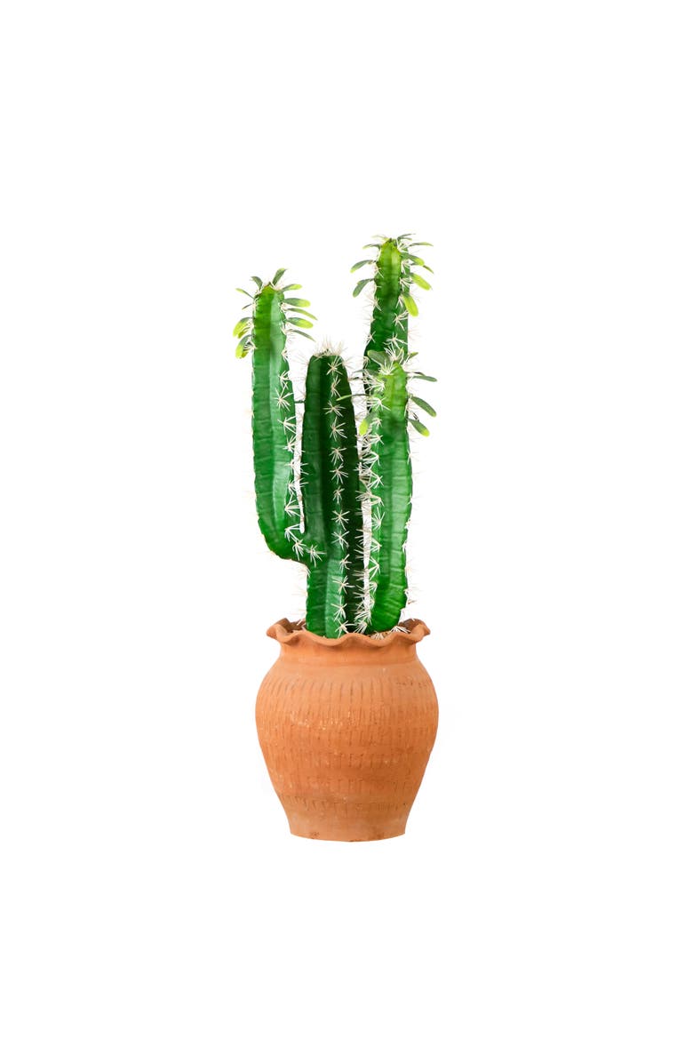 NEARLY NATURAL 28-in Artificial Cactus in Terracotta Planter, Main, color, Green