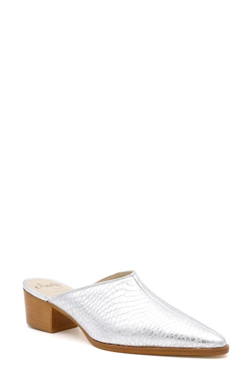 Amalfi By Rangoni Pensiero Pointed Toe Mule In Argenta Alabama