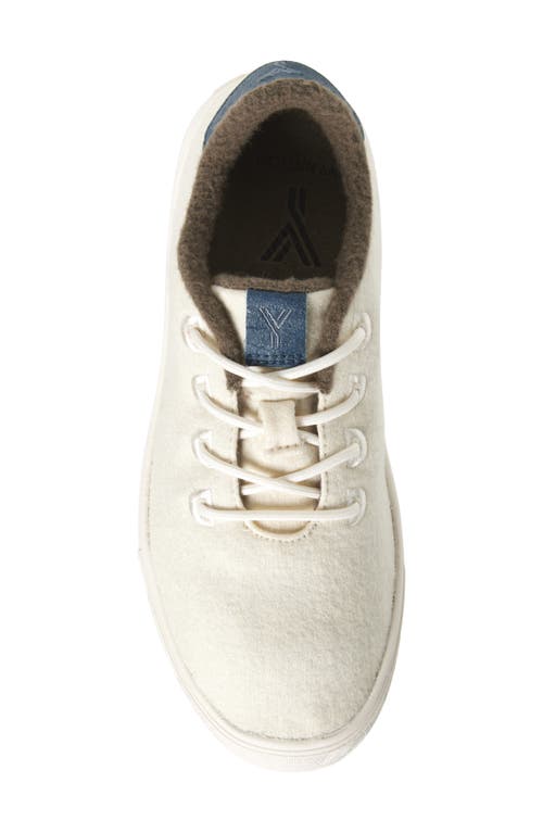 Shop Yy Nation Cirro Wool Blend Water Resistant Low Top Sneaker In Off White/white