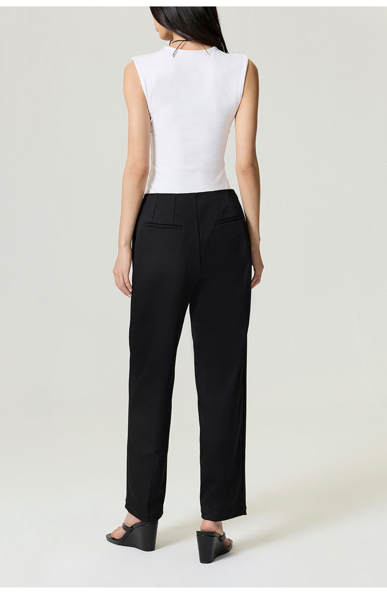 Nocturne Pleat Detailed Pants, Alternate, color, Black