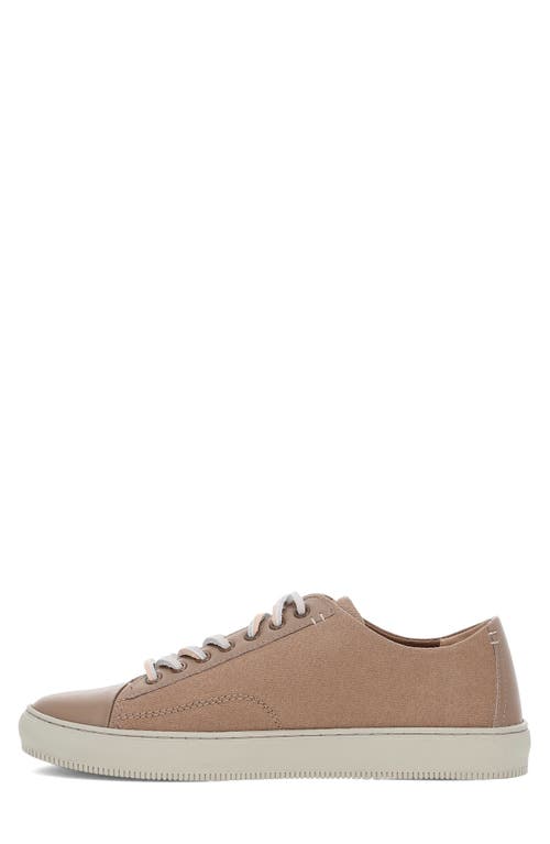 Frye Astor Cap Toe Low Top Sneaker In Khaki