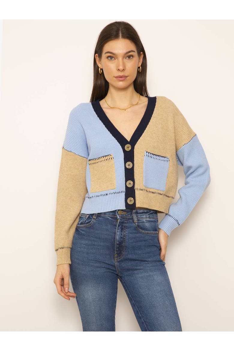 Casey Colorblock Cardigan, Main, color, BLUE MULTI