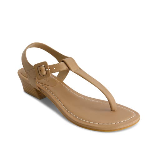 Bernardo Footwear Goya T-strap Sandal In Sand