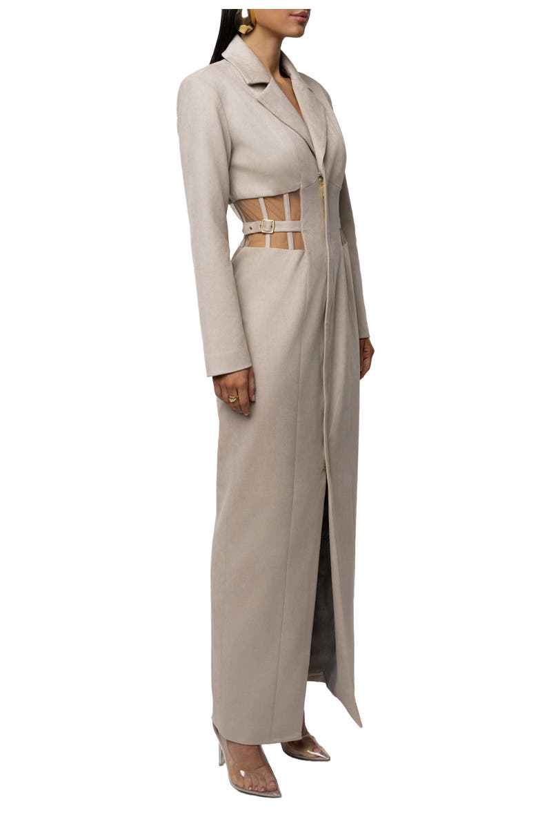 JLUXLABEL Toffee Haze Suede Dress, Alternate, color, Beige