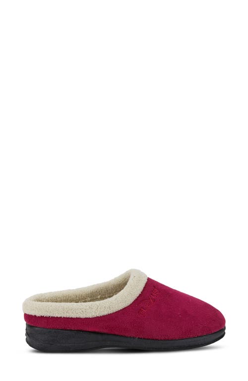 Flexus By Spring Step Ivana Scuff Slipper In Burgundy