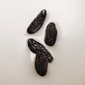 Angles' Share Hand & Body Lotion