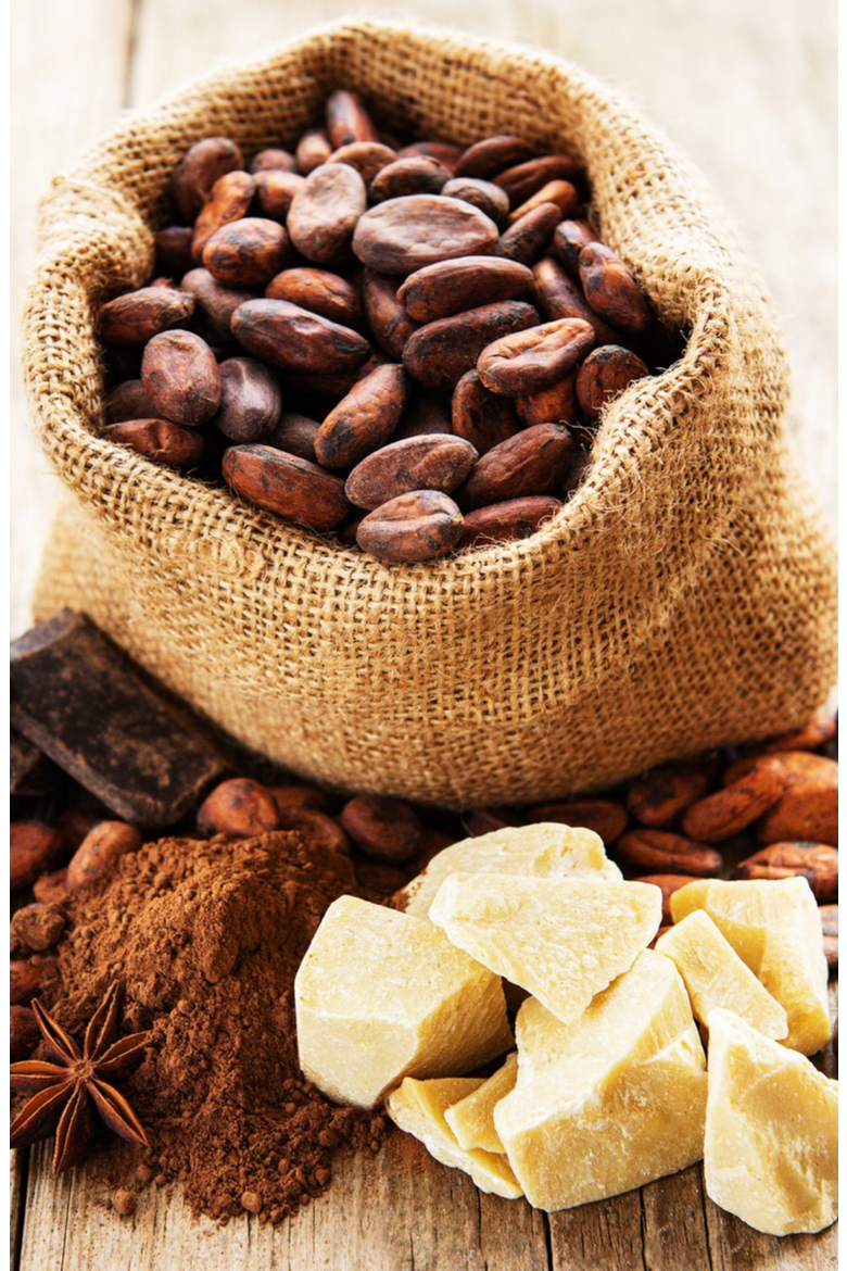Rich Cocoa Body Butter, Alternate, color, No Color