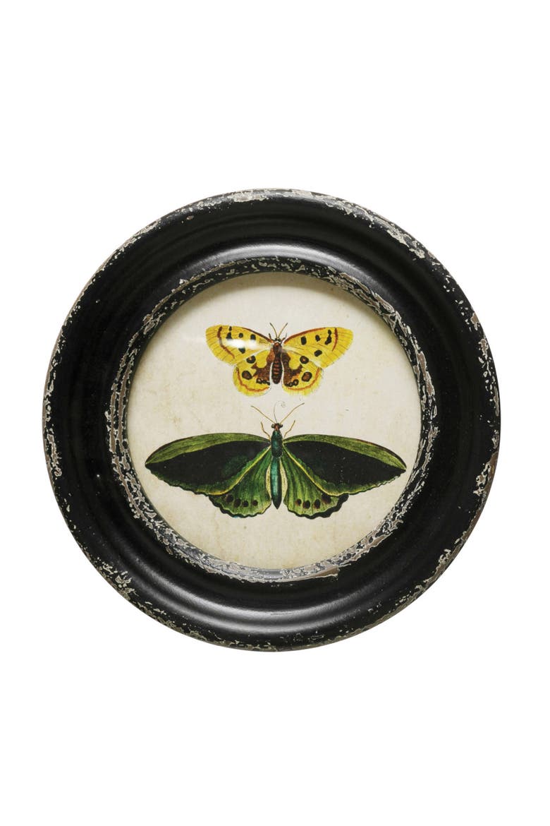 Moth and Butterfly Framed Wall Decor, Alternate, color, Black