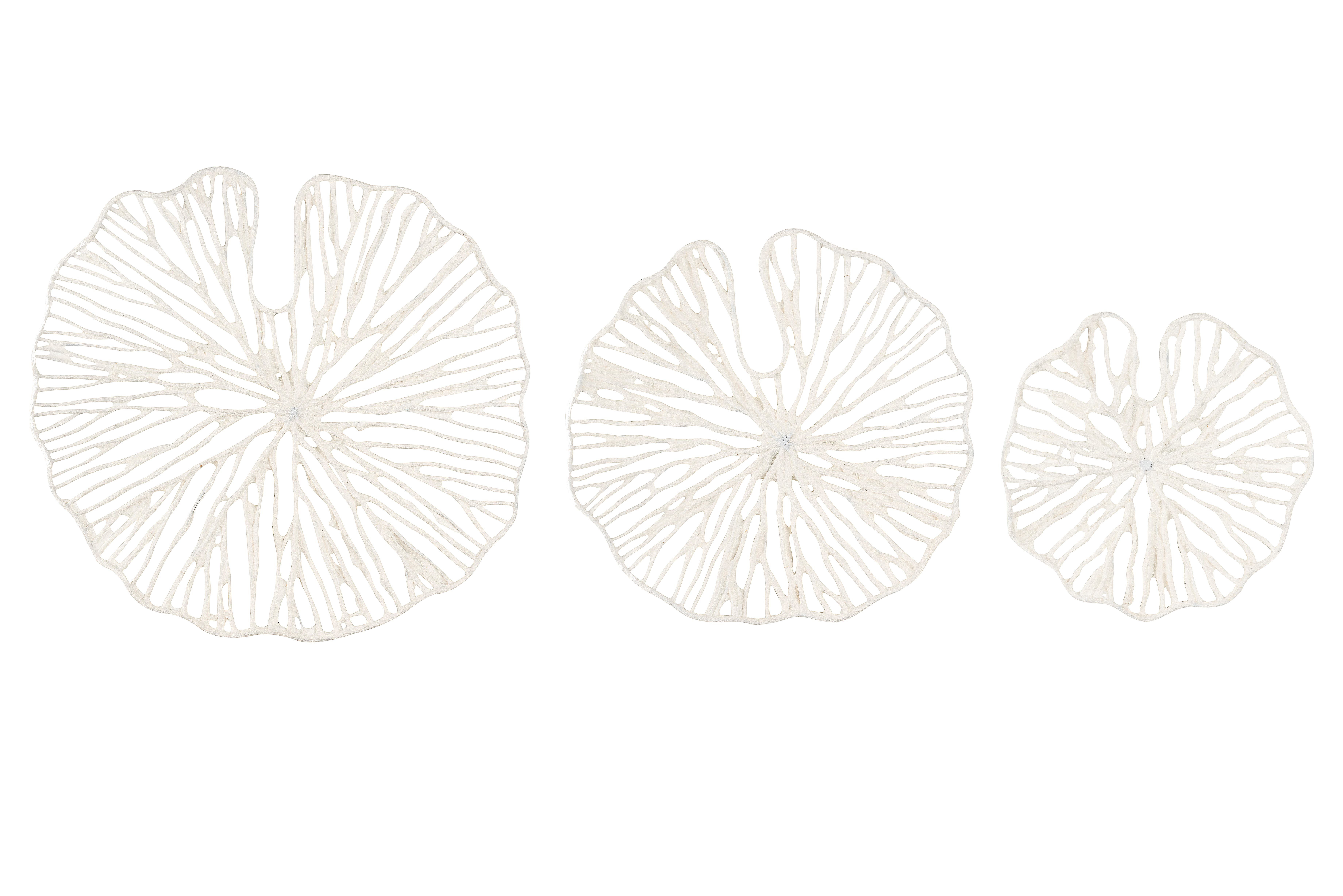 selected White