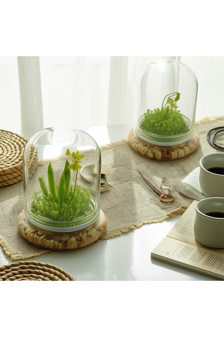 Everlasting Orchid Terrarium with Sundew Moss, Alternate, color, Yellow