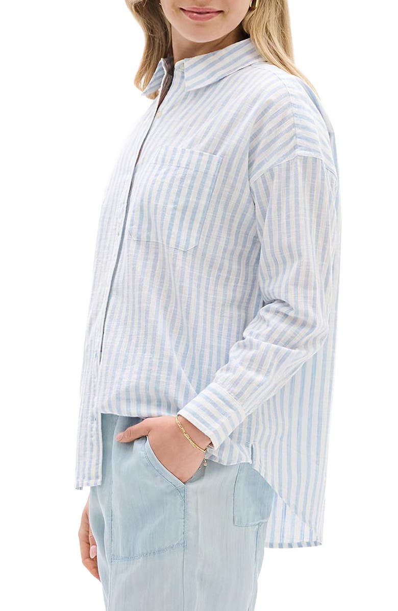 Hatley Relaxed Fit Stripe Cotton Button-Up Shirt, Alternate, color, 