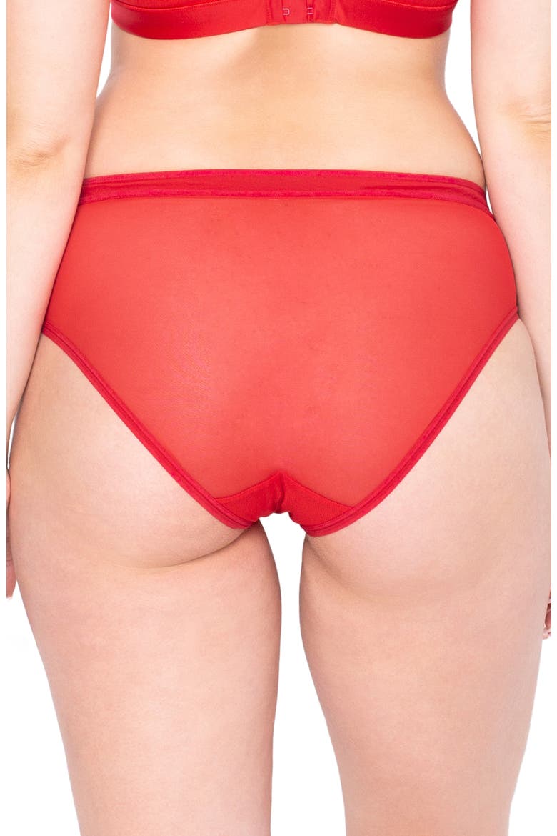 Sheer Mesh High Cut Briefs, Alternate, color, DRAMATIC ROSES