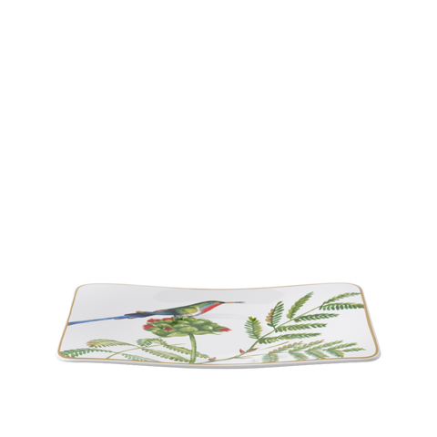 Amazonia Teacup Saucer