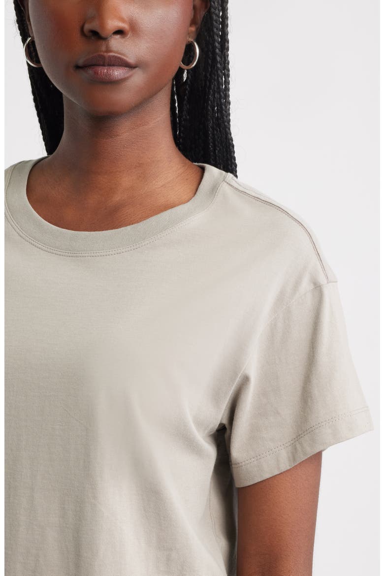 Favorite Cotton T-Shirt, Alternate, color, GREY TAUPE
