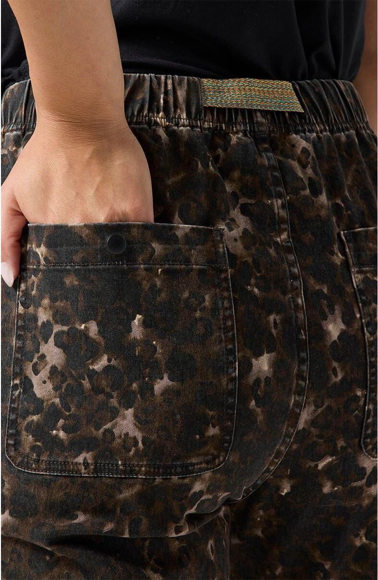 Backcountry Venture Daily Pant - Women's, Alternate, color, Leoportise