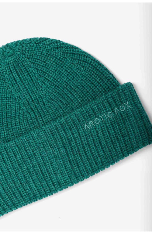 Arctic Fox & Co. Arctic Fox & Co The Embroidered Merino Wool Beanie In Green