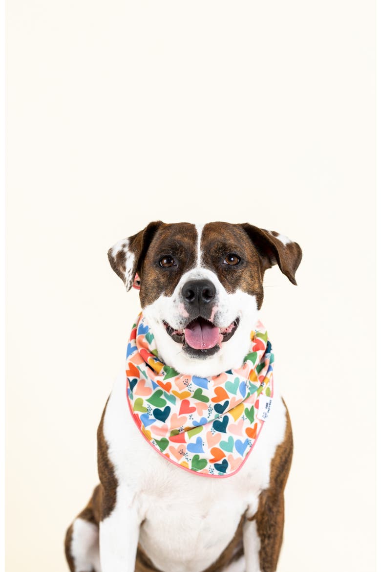 Amelia Pet Bandana, Alternate, color, Amelia