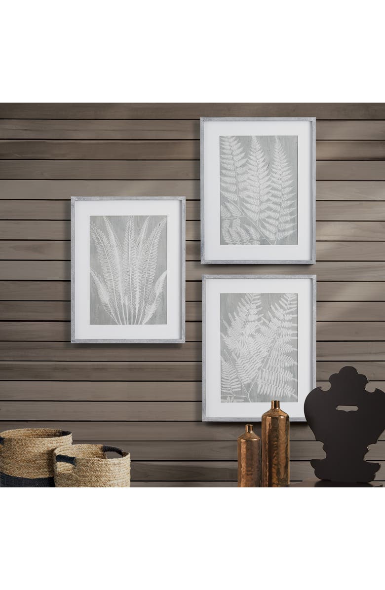 Napa Home & Garden Fern Frond Prints, Set Of 3, Alternate, color, Green