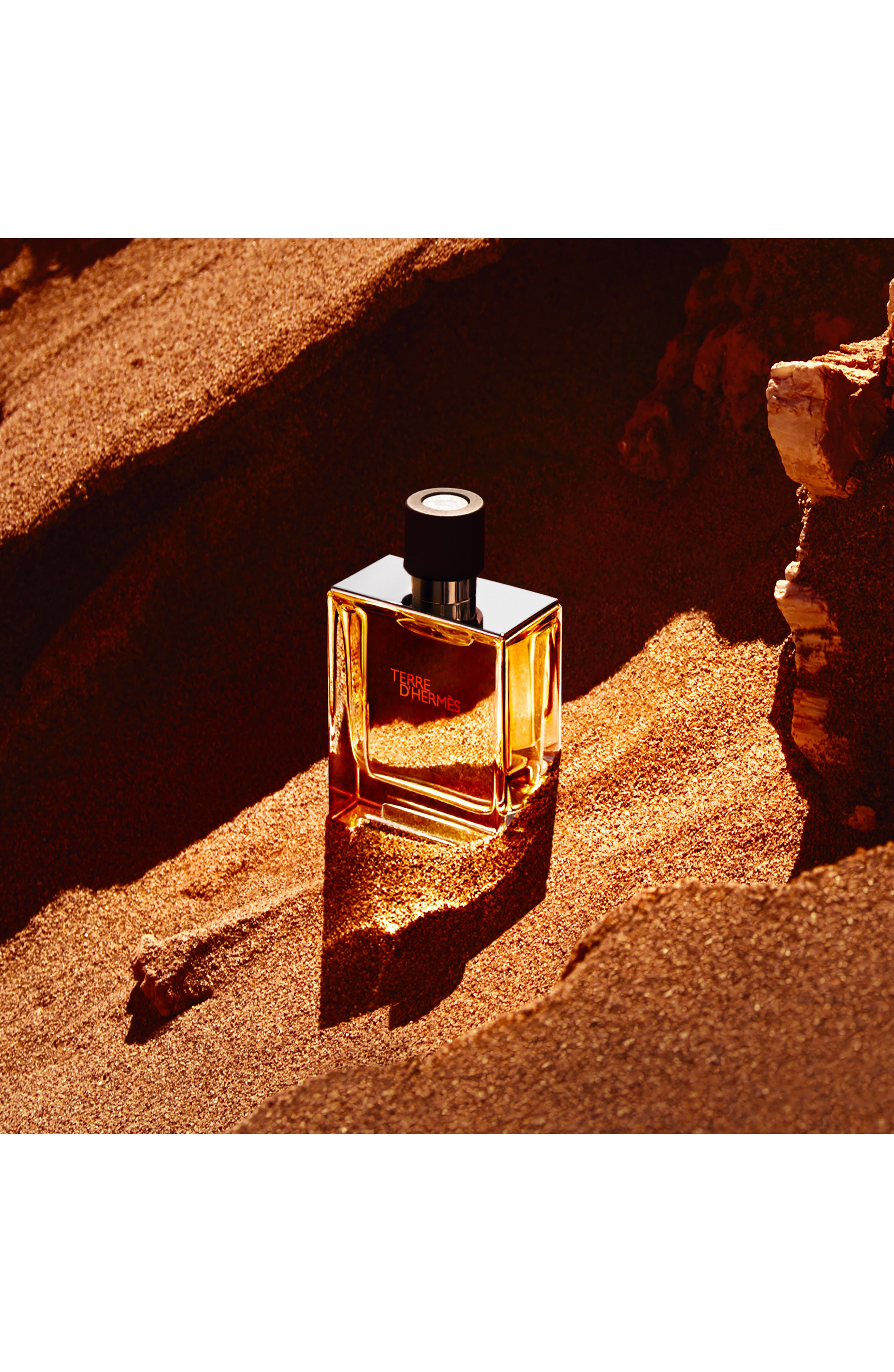 Hermès Terre d'Hermès - Pure Perfume (Men) | Nordstrom