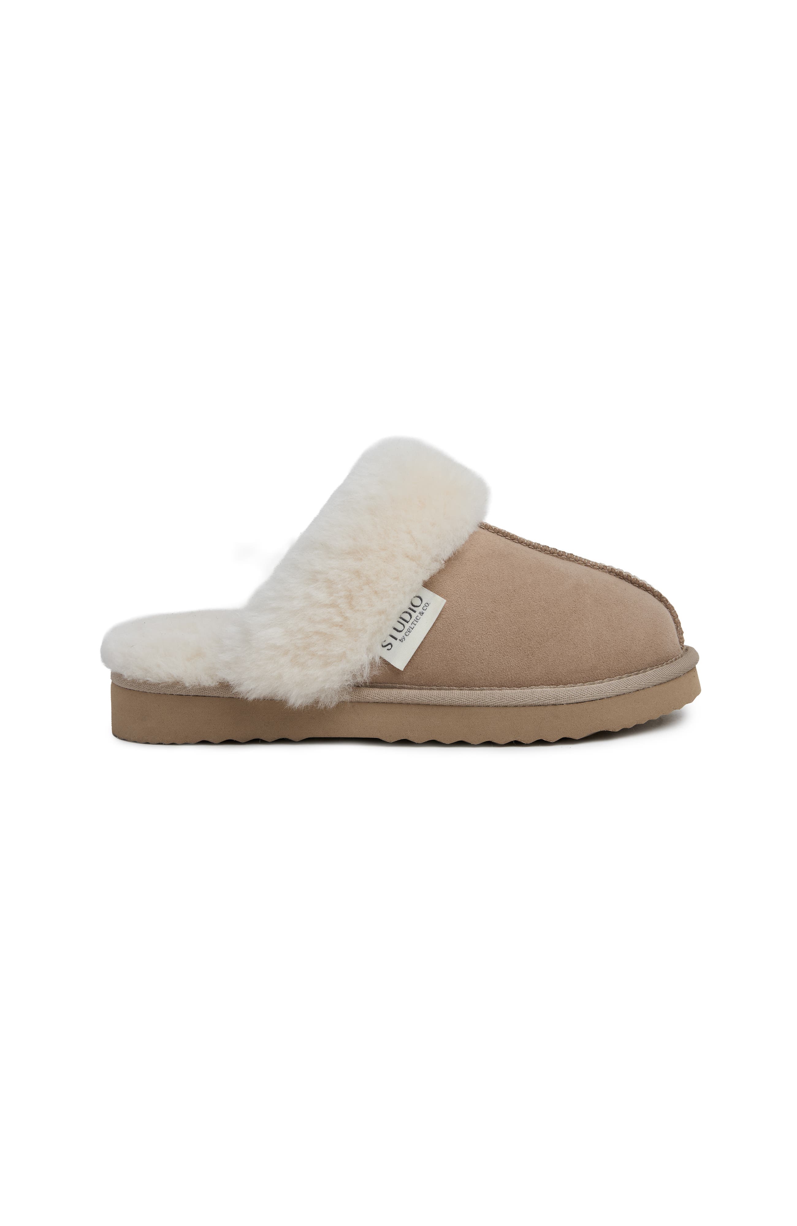 Camel