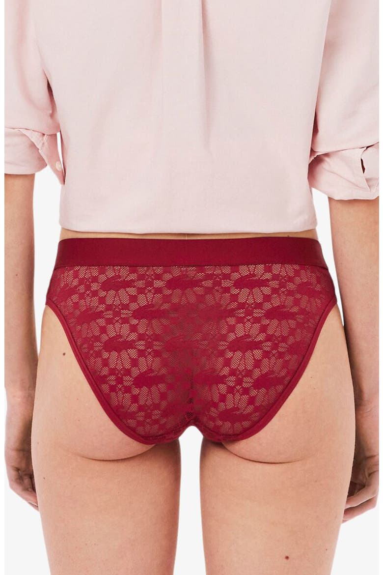 Lace Bikini Briefs, Alternate, color, BORDEAUX