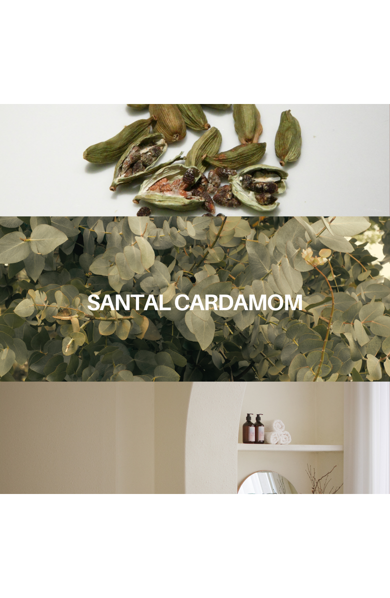 DeAndra Craigman Studios Santal Cardamom Room & Linen Spray, Alternate, color, Gold