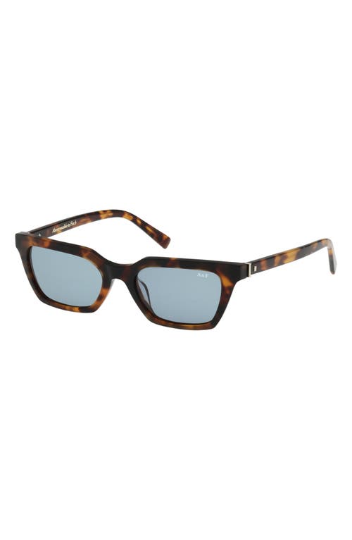 Abercrombie & Fitch 52mm Cat Eye Sunglasses In Black