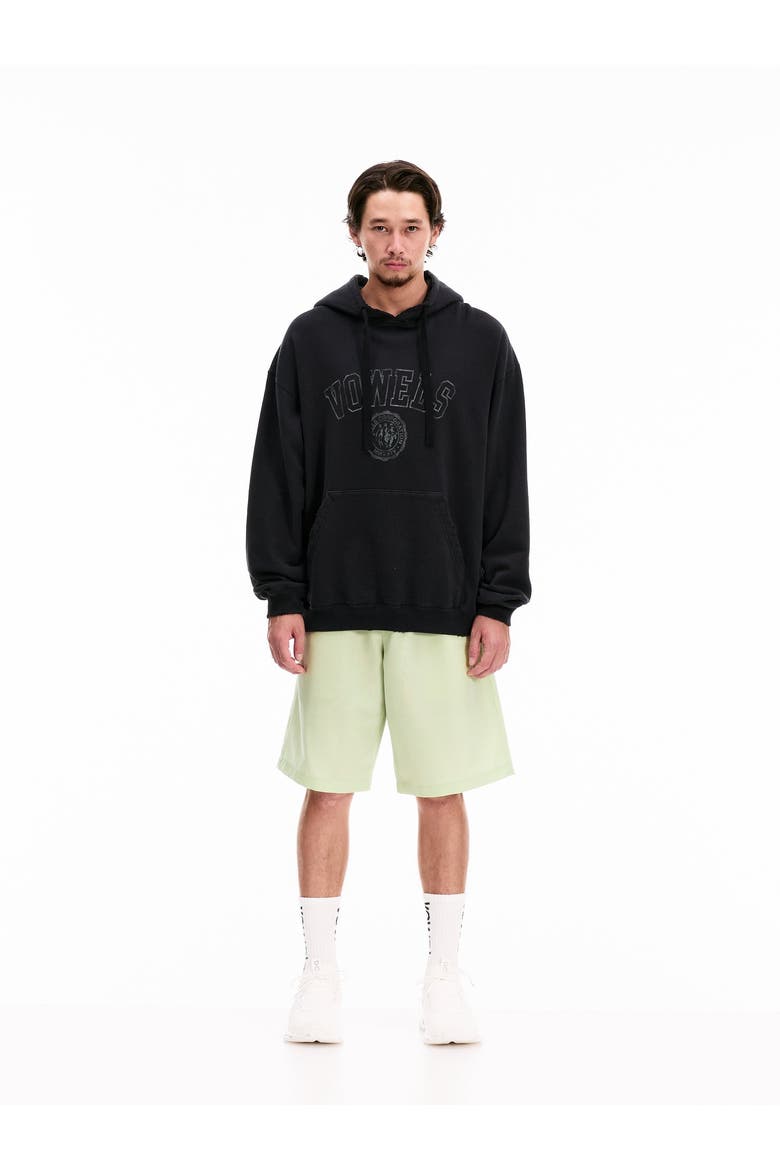 Faded Collegiate Hoodie, Alternate, color, Black