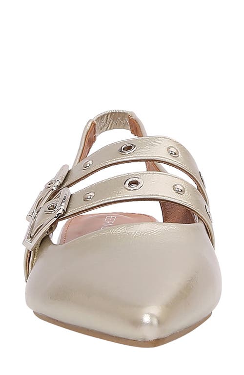 Berness Fabiola Double Buckle Pointed Toe Slingback Flat In Gold