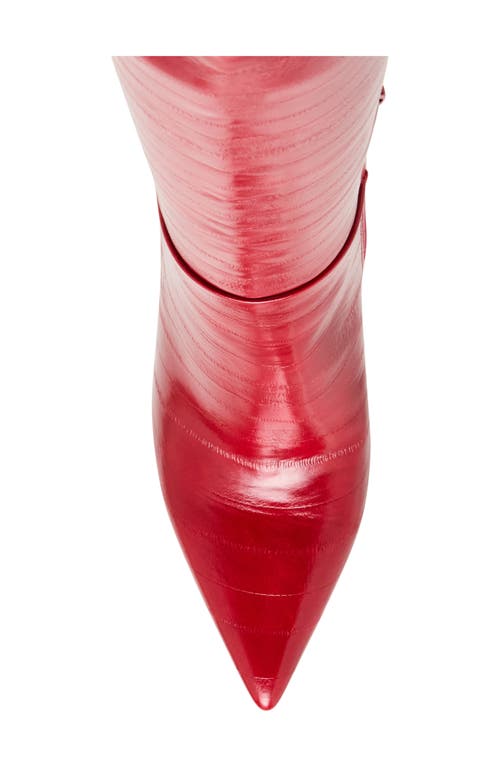 Steve Madden Nitro Knee High Boot In Red