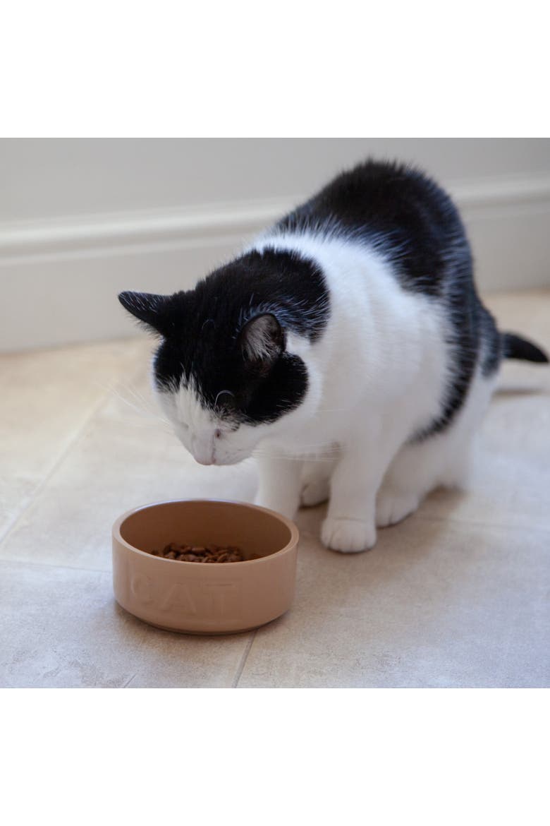 5.2 Inch Cane Cat Food And Water Bowl, Alternate, color, Brown