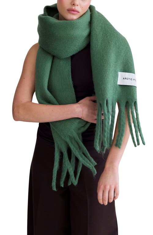 Arctic Fox & Co. Arctic Fox & Co The Stockholm Fringe Scarf In Green