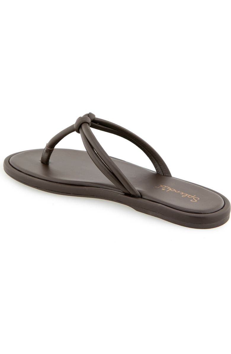 Splendid Ferdinanda Flip Flop, Alternate, color, Spice