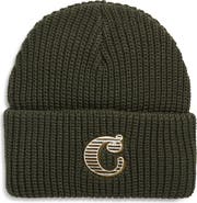 Carhartt Work In Progress Cold World Beanie