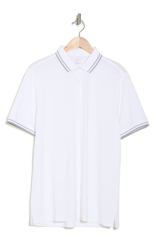 14th & Union Tipped Polo In White