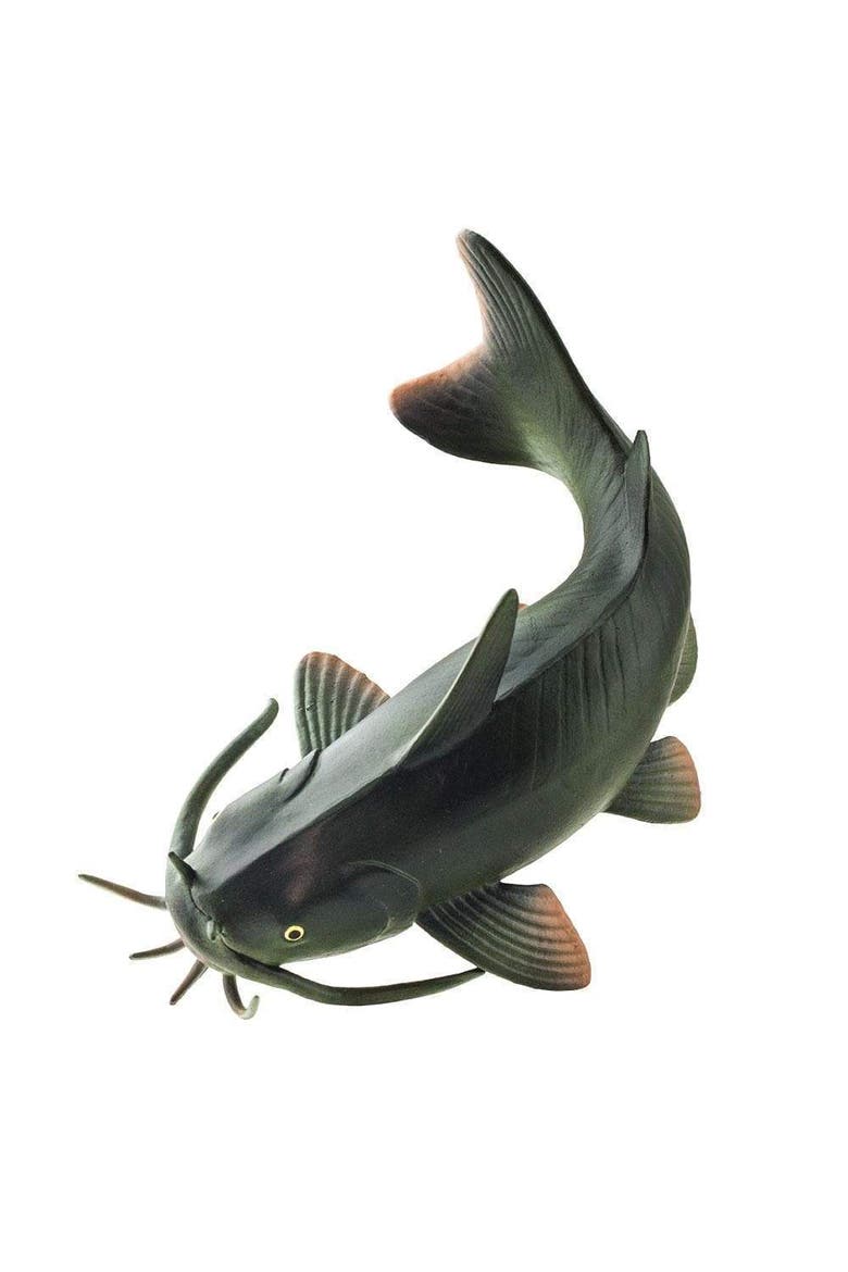 Catfish Toy, Alternate, color, No Color
