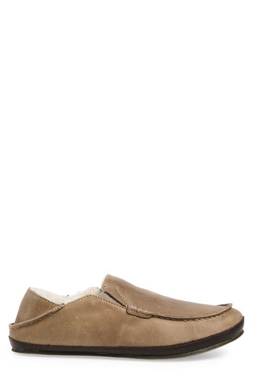 Olukai Moloa Genuine Shearling Convertible Slipper In Neutral