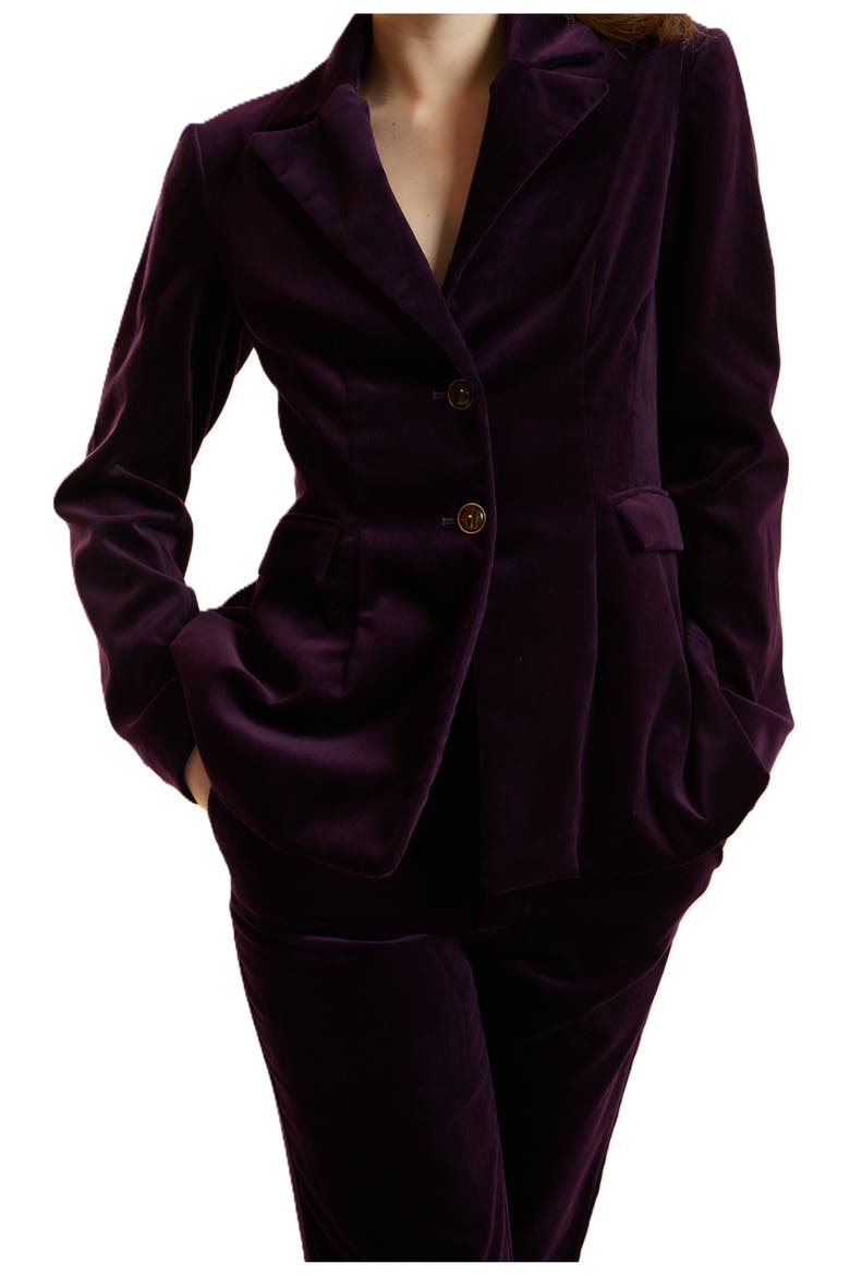 Velveteen Fitted Blazer, Alternate, color, Purple