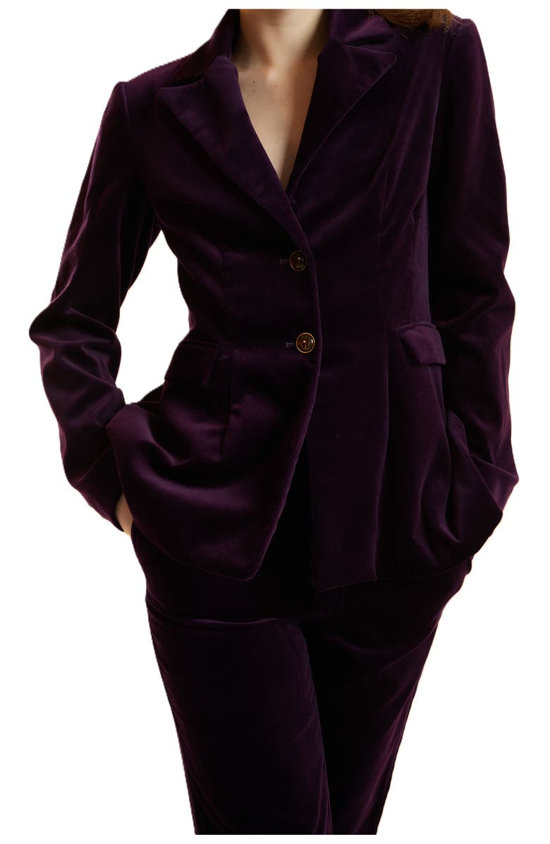 Cynthia Rowley Velveteen Fitted Blazer, Alternate, color, Purple