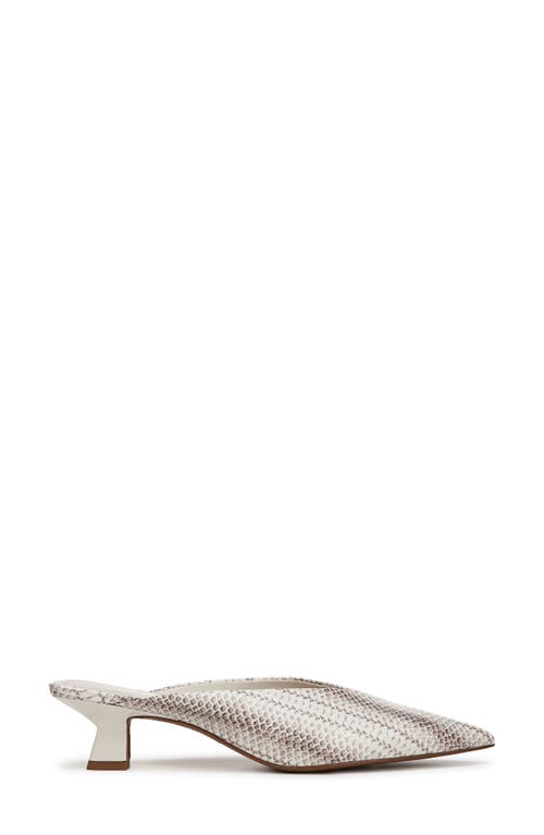 Franco Sarto Jayda Kitten Heel Mule In Grey